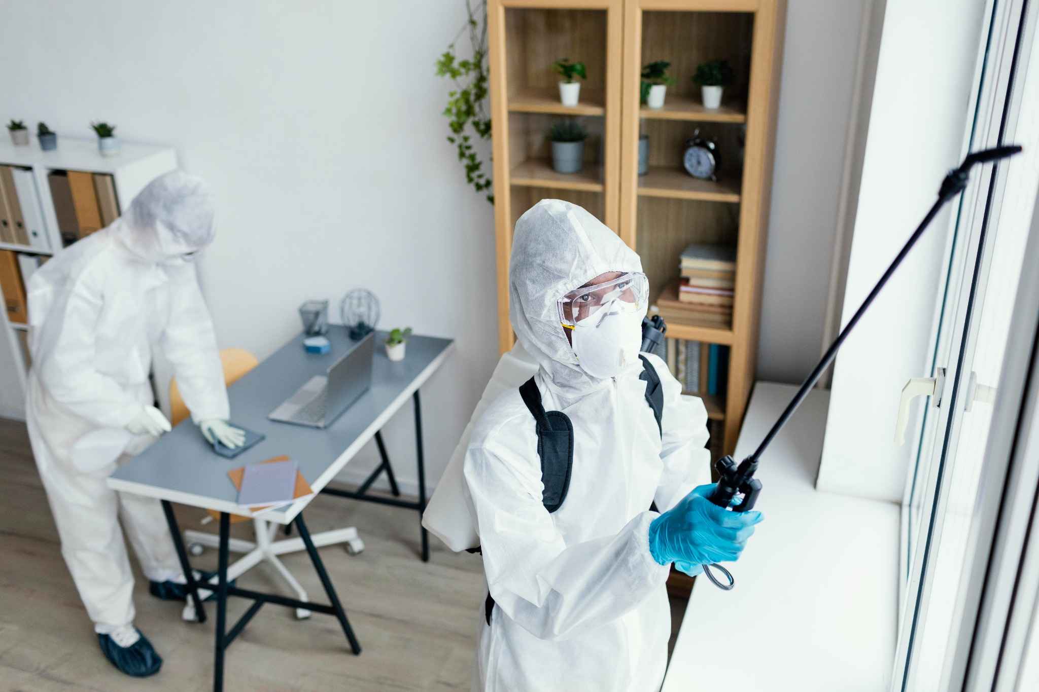 Est-il possible de traiter la mérule soi-même ?