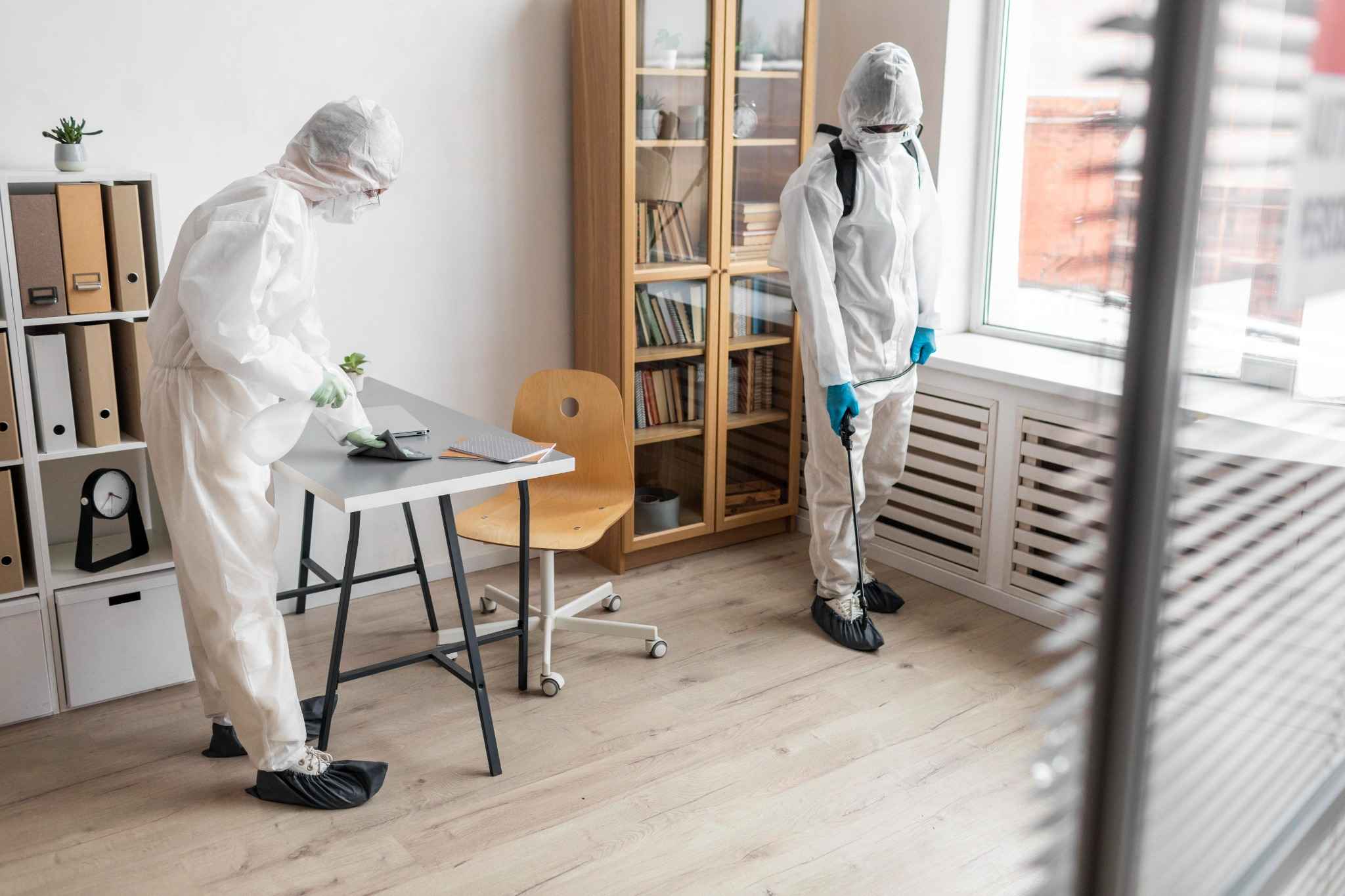 Quel est le traitement curatif le plus efficace contre les insectes xylophages