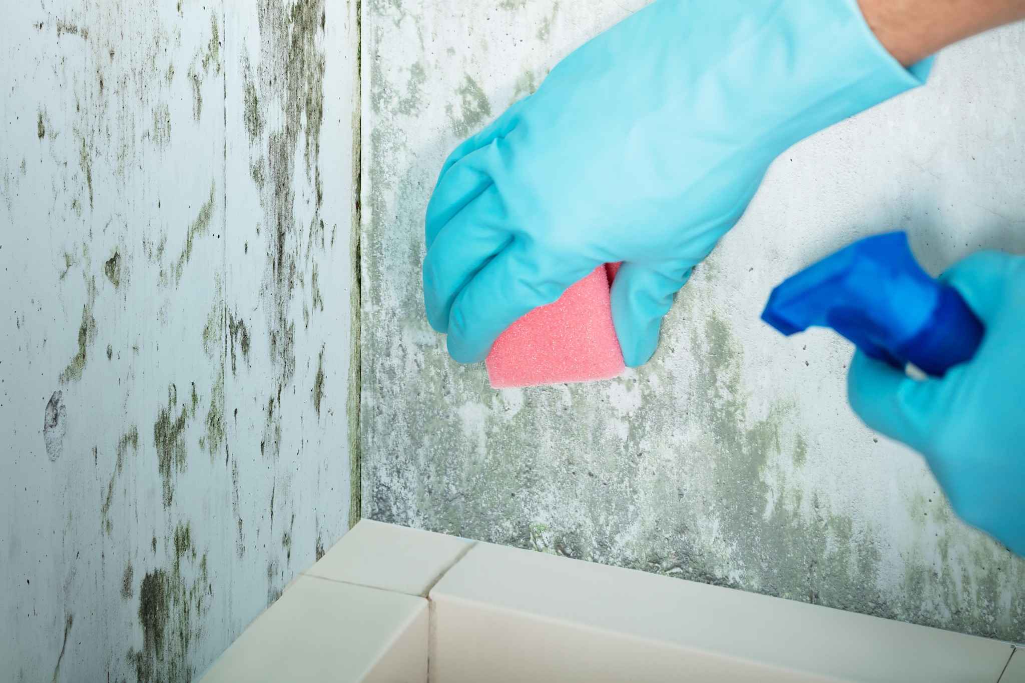 Quel est le traitement définitif contre l’humidité ?