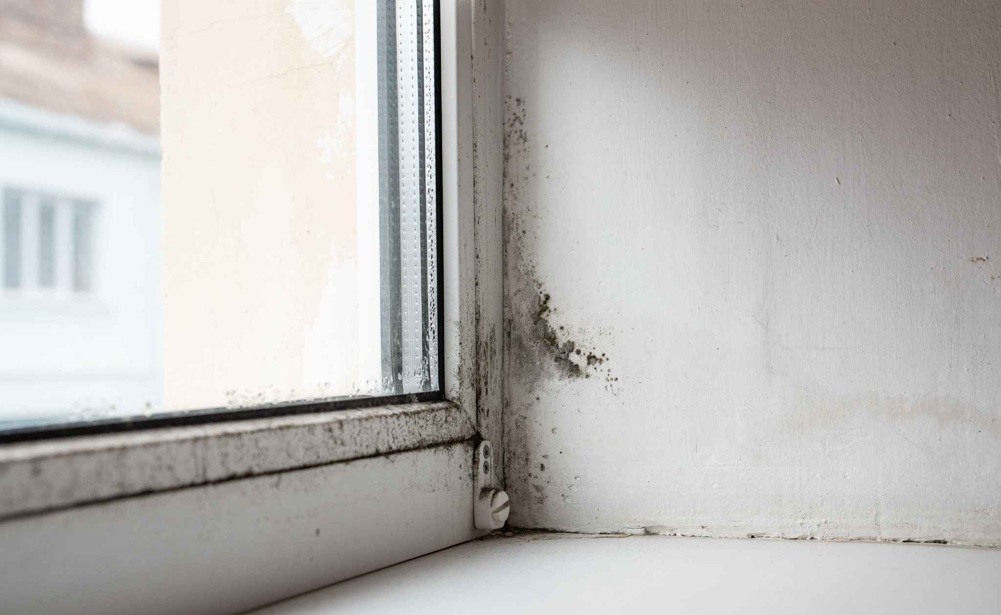 Quelles sont les causes d’une humidité élevée dans une maison ?